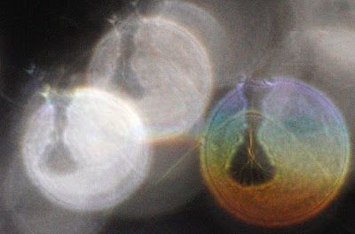 beaker-shaped orb hole