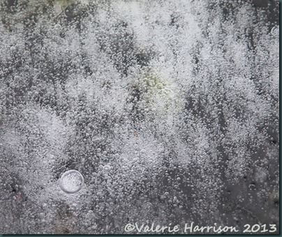 15-ice-bubbles