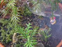 Fog in forest in miniature garden