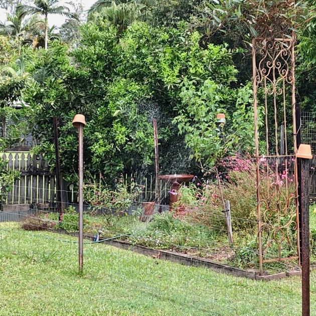 Starting the vegetable garden