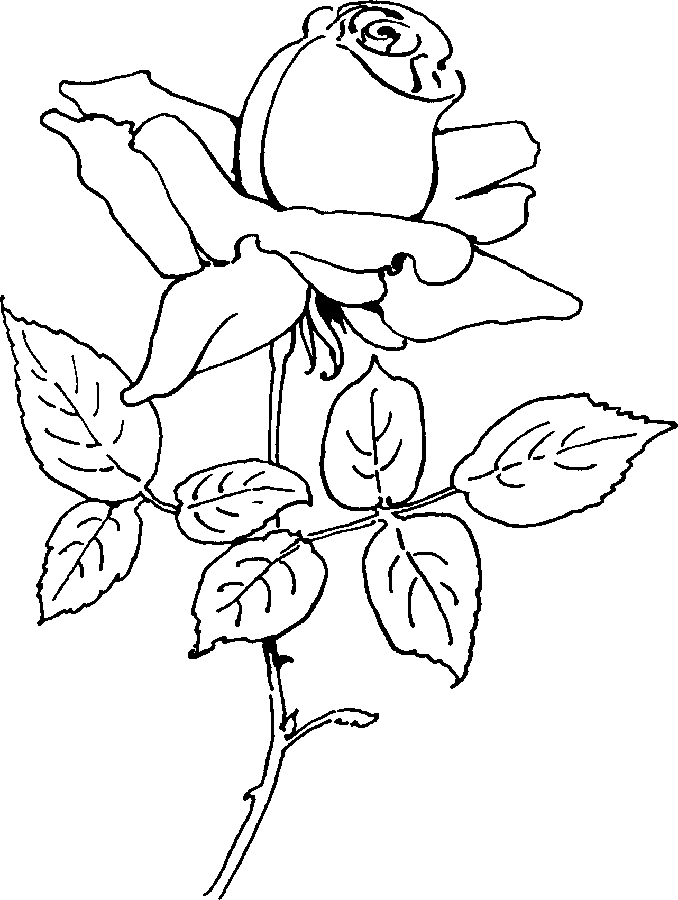 flower coloring pages