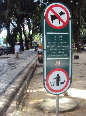 Cão nas praças