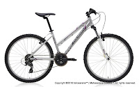 26 Inch Polygon Premier 2.0 Mountain Bike Lady