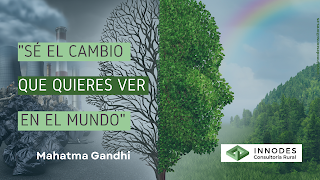 gestión management marketing consultoria rural innodes consultores alcorisa teruel empresa autonomo gandhi