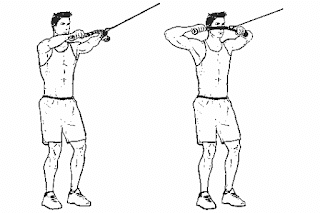 2. Cable Face Pull