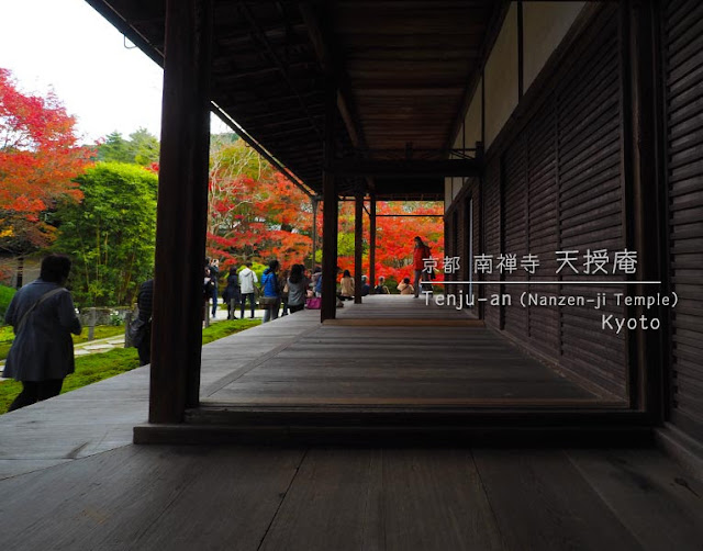 京都 南禅寺･天授庵：本堂脇から見える方丈庭園の紅葉