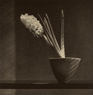 Robert Mapplethorpe