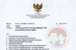 Pengangkatan CPNS Menjadi PNS Dilaksanakan Paling Lambat Akhir Tahun 2020