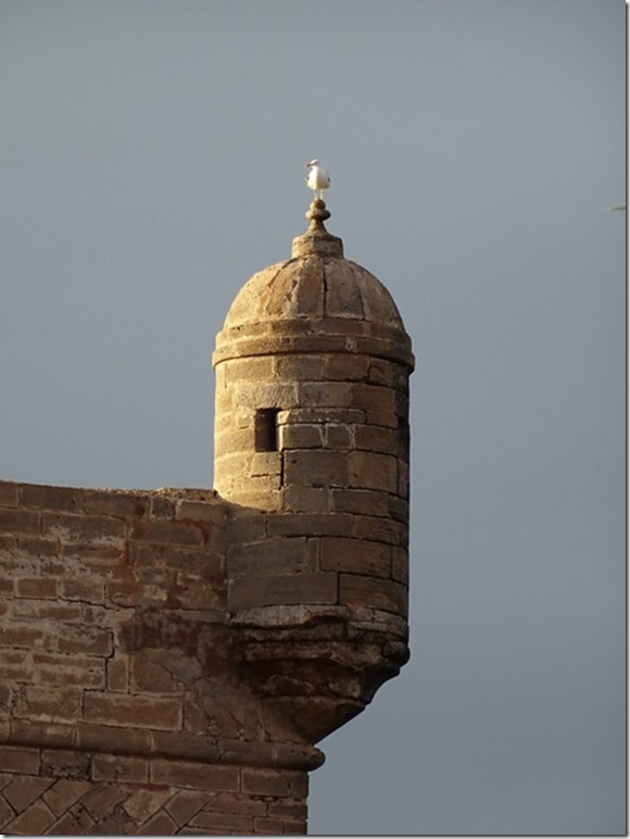 36-DSC03345