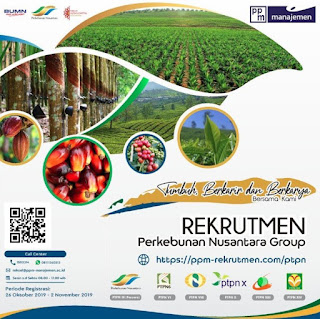 Rekrutmen Perkebunan Nusantara Group