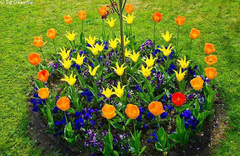 flower planter ideas pictures Round Flower Bed Ideas | 800 x 522