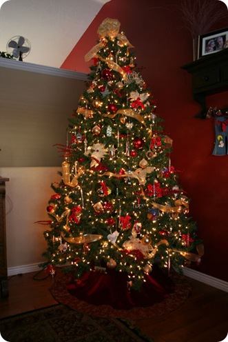 IMG_2027web