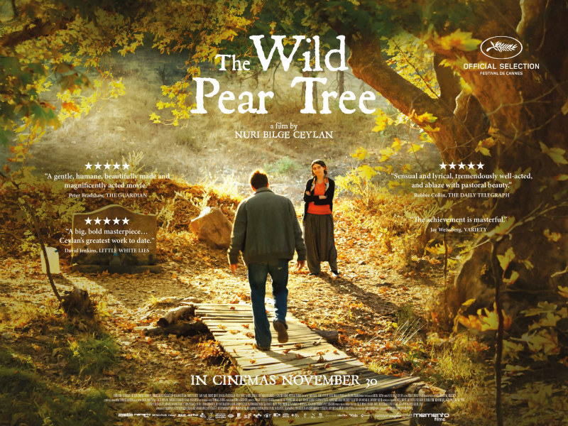 Nuri Bilge Ceylan's THE WILD PEAR TREE poster