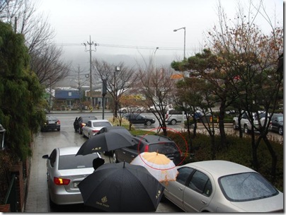 DSC01201