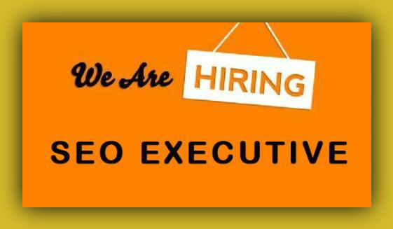 Get the Best Job Solution Require A Cadidates for SEO Executive