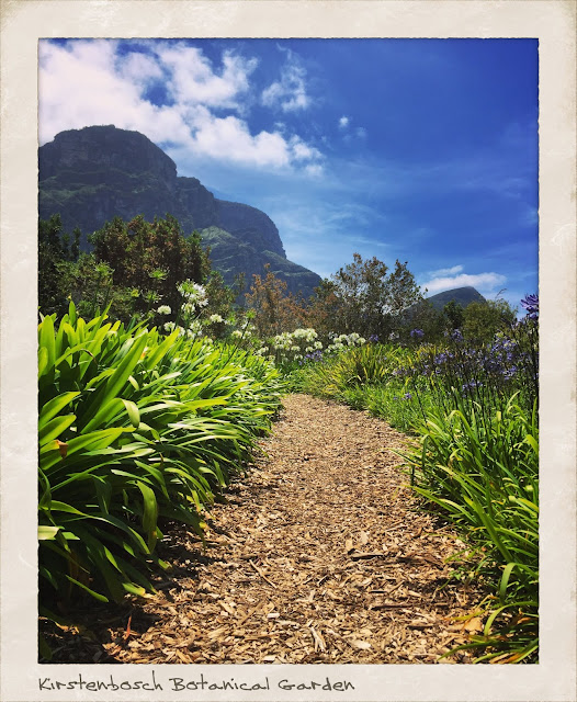 Kirstenbosch National Botanical Garden