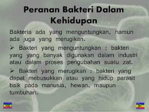 Peran Bakteri Dalam Kehidupan Ilmu Biologi SMA Kelas 1