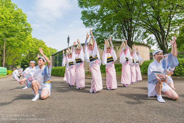 紅連の阿波踊りの舞台構成を小金井市体育館前で撮影した写真