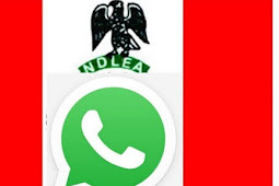 NDLEA Recruitment 2023: Join WhatsApp Group For NDLEA Recruitment 2023 All States In Nigeria