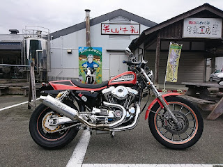 ハーレー,スポーツスター,がるーだ,ターコイズ,ダートラ,883R,sportster