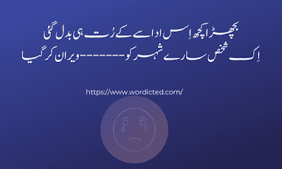 Very Sad Quotes In Urdu About Death With Images