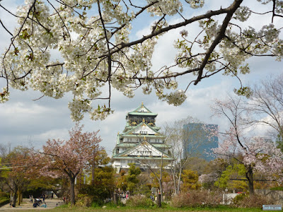 大阪城と桜