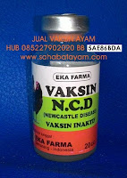 cara vaksin ayam, vaksin untuk ayam, harga vaksin ayam, vaksin ayam petelur, vaksin ayam Bangkok, vaksin ayam broiler, jenis vaksin ayam, vaksin ayam aduan, jual vaksin ayam, obat vaksin ayam, cara vaksin ayam Bangkok, vaksin ayam pedaging, vaksin ayam potong, macam macam vaksin ayam, jenis vaksin ayam Bangkok