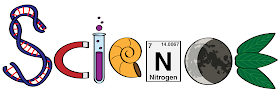 Science spelled out with DNA, a magnet, a test tube, a shell, nitrogen, the crescent moon, and leaves.