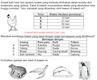 10 PAKET SOAL OSN SD IPA DAN MI TAHUN 2018-2019 SERTA PEMBAHASAN