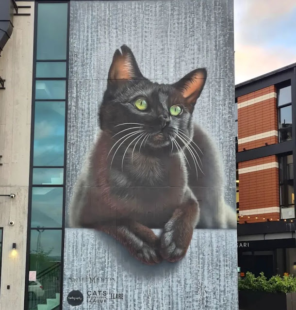 cat street art