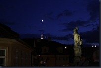 IMG_1555
