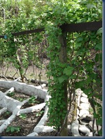 DSC00036