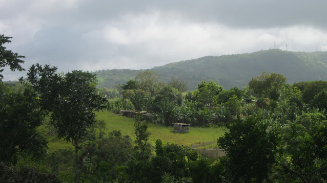 View of the Valley from Point Hill, St Catherine