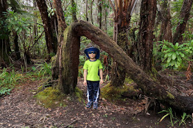  Volcanoes National Park