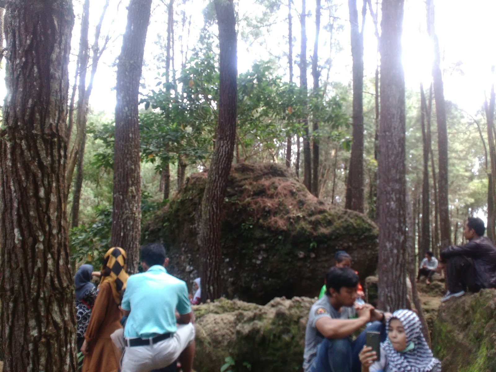 watu-tumpang-hutan-pinus-mangunan