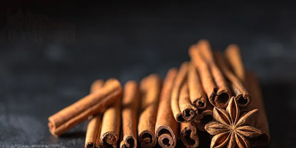 दालचीनी के फायदे, उपयोग और नुकसान Dalchini (Cinnamon) Ke Fayde Aur Nuksan