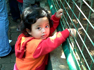 Ain di Ragunan