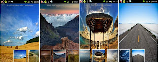 Landscape Views 