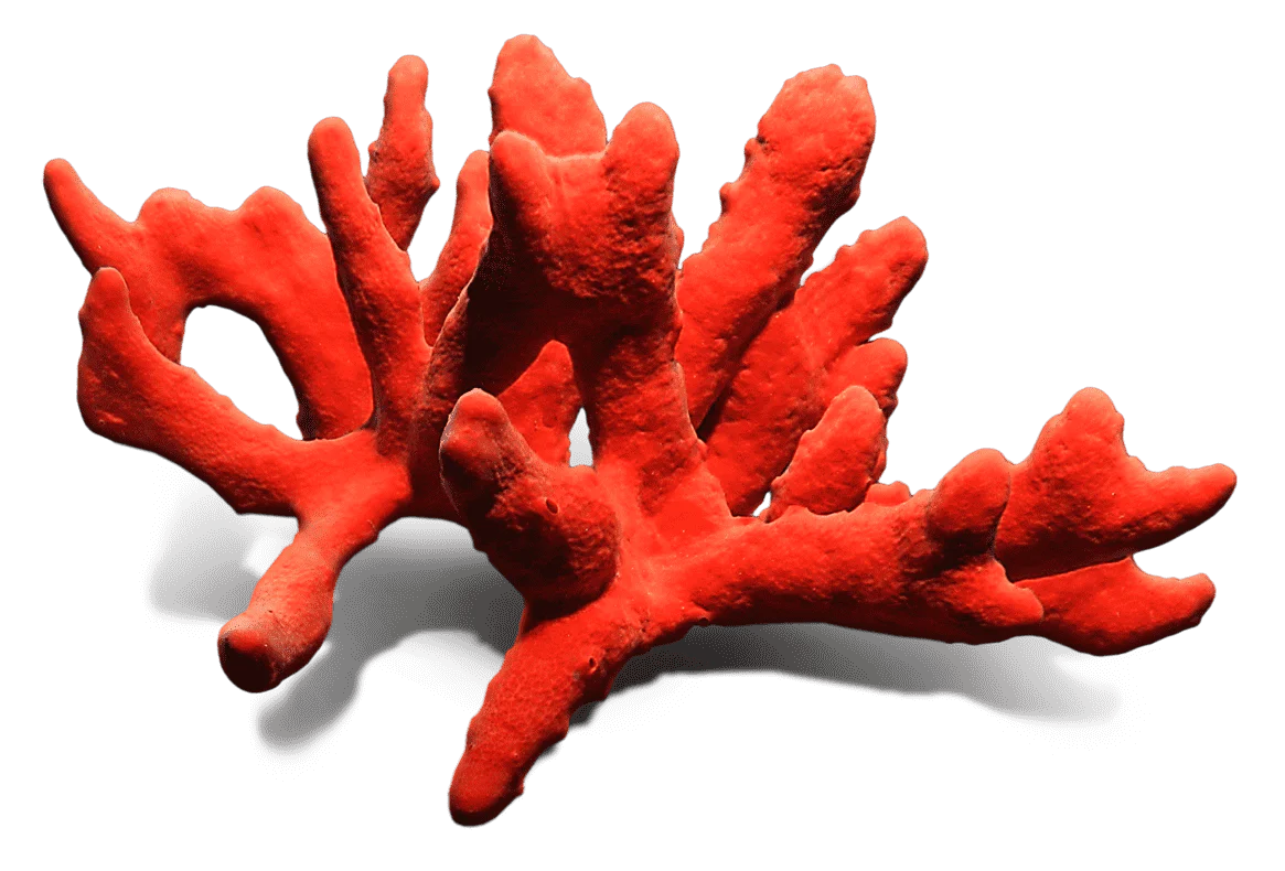 The Largest Red Coral Producers in the World (Carats)