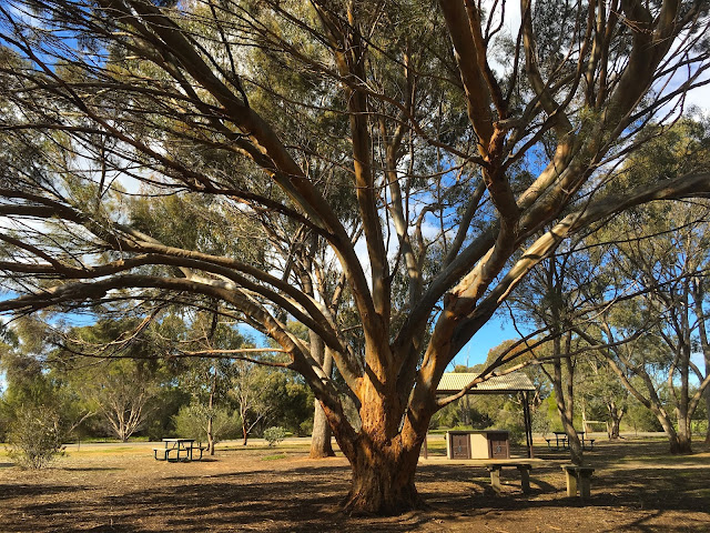 Serendip Sanctuary, Lara