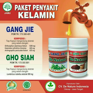 Khasiat Obat Sipilis De Nature Kapsul Gang Jie Dan Gho Siah