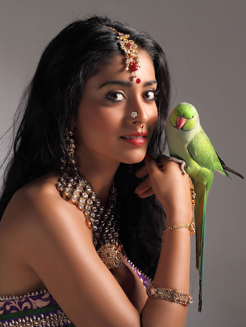 South Indian Actress Shriya Saran Hd Wallpaper