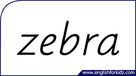 zebra flashcard, single word