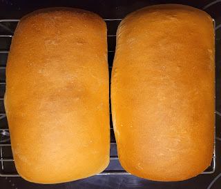 Completed loaves