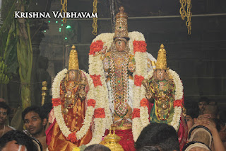 Sri TheliyaSingar , Sri Gajendra Varadhar, Samrokshanam, 2016, Video, Divya Prabhandam,Sri Parthasarathy Perumal, Triplicane,Thiruvallikeni,Utsavam,