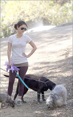 Rachel Bilson Dog Walking Pictures