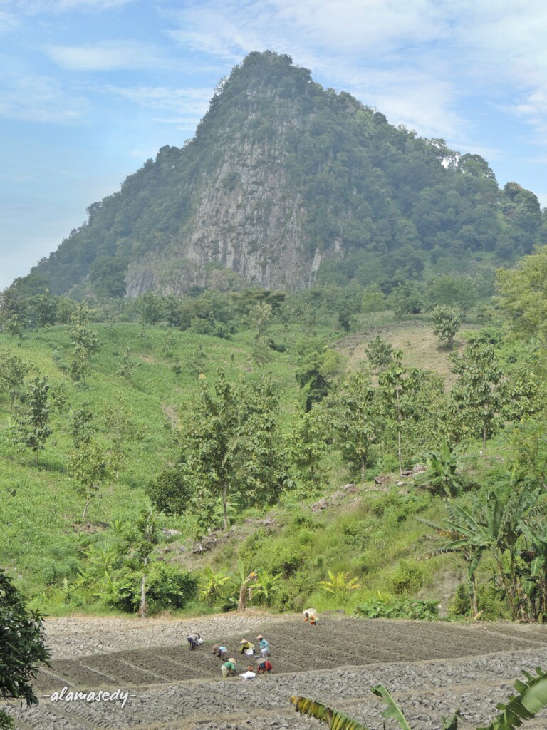 Gunung Kembar Itu Bernama Lawang Dan Kendil Alamasedy