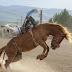 Interesting pioneer days rodeo 2013 in Lander 