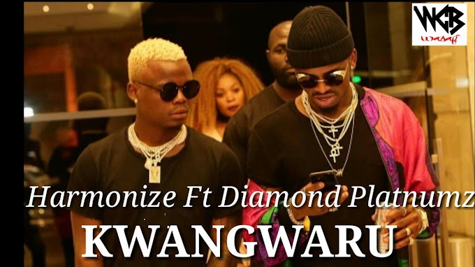 Tanzania Instrumental: Harmonize ft Diamond Platnumz – Kwangwaru (Beat By Kado Best)
