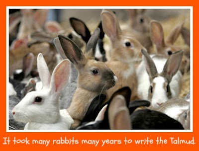 Rabbits Talmud